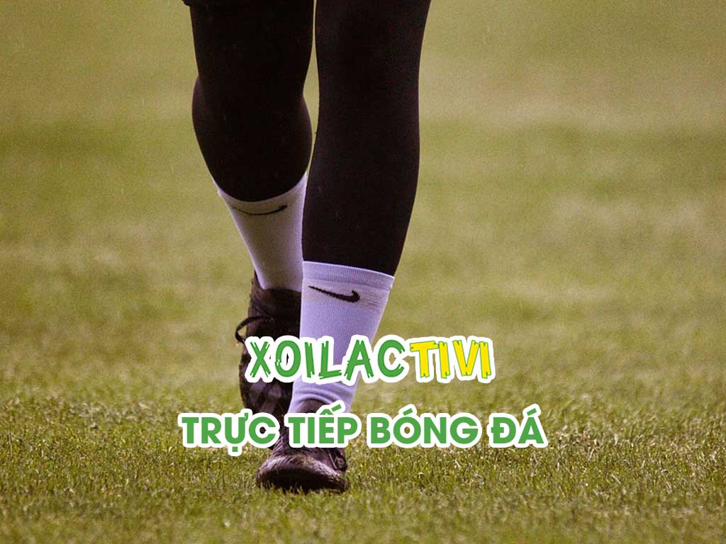 cap-nhat-lich-thi-dau-tat-ca-cac-giai-dau-hang-dau-chau-luc-tai-xoilac-tivi